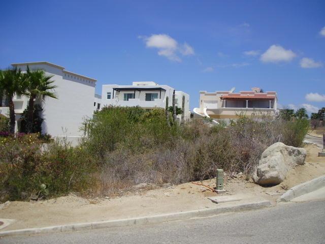 Paseo De Los Cabos - Photo 1