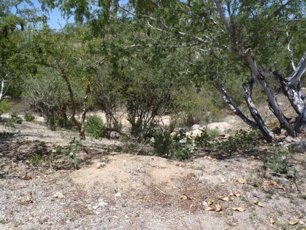 Cresta Del Mar - Photo 1