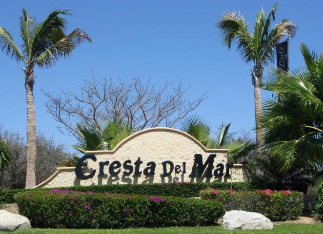 #105 Cresta Del Mar - Photo 1