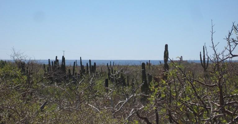 1289 Sin Nombre - Photo 1