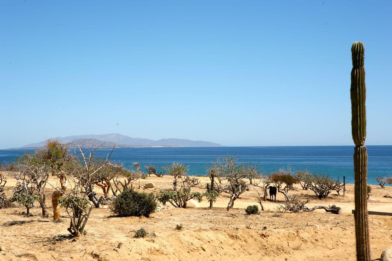 Boca Del Alamo Lot 164 - Photo 1