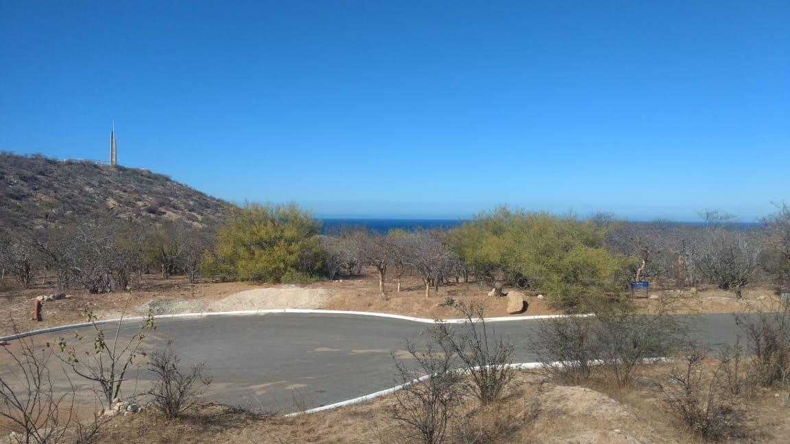 El Camino Real - Photo 1