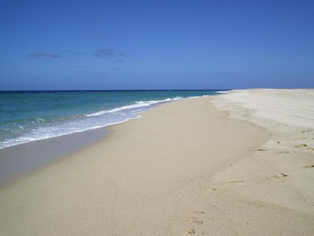 A-127 Lighthouse Pt. Estates - Photo 1