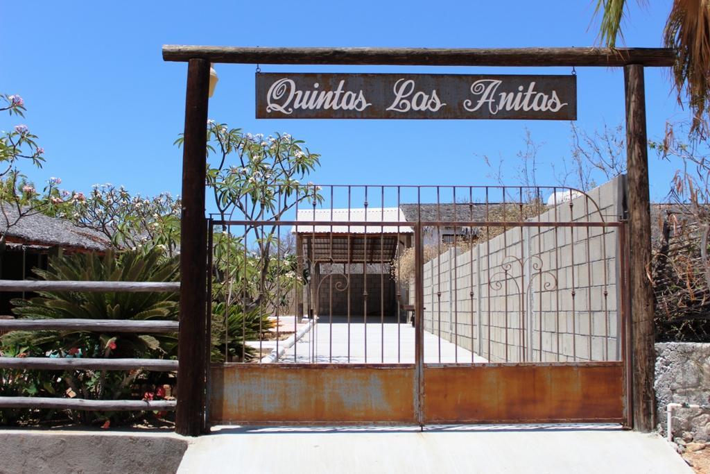 Calle Gaviotas Y Delfin - Photo 1