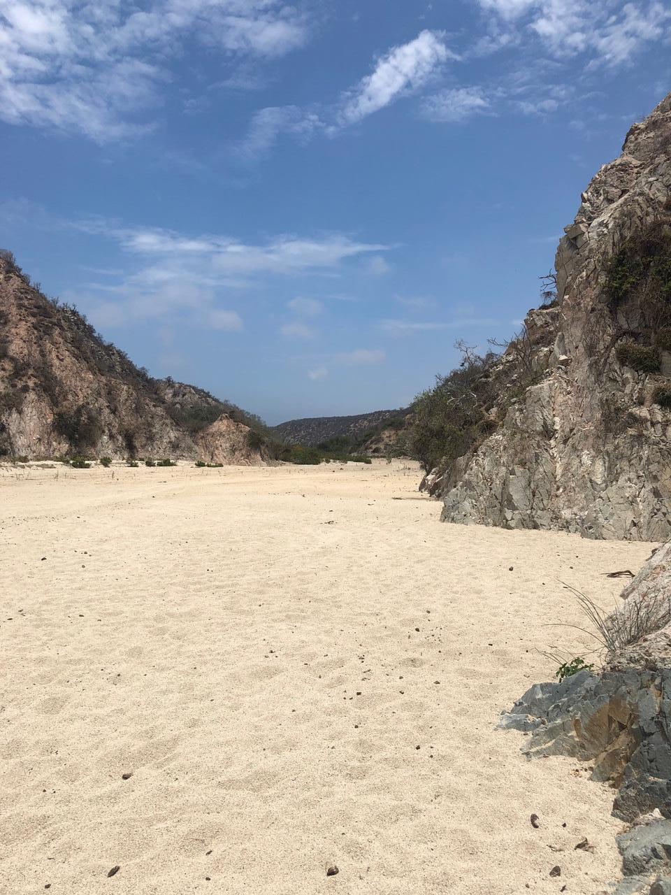 Hwy 19 - Photo 1