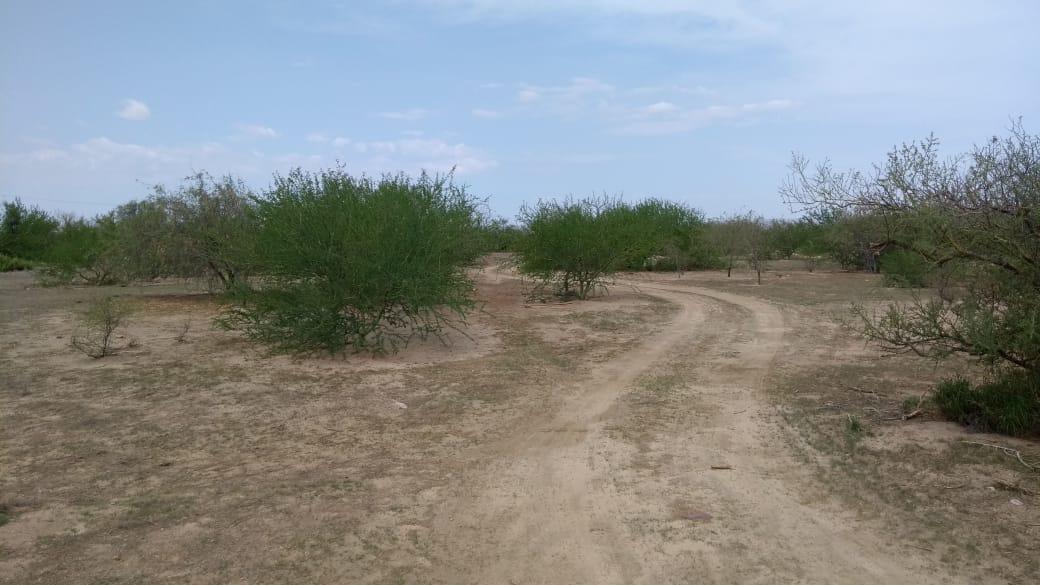 Villa Del Bosque - Photo 1