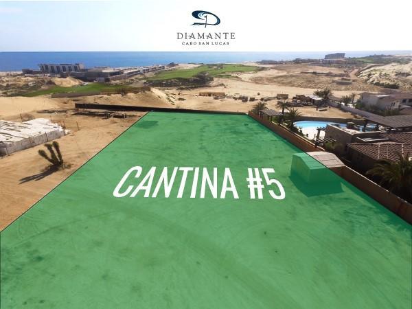 Cantina 5 - Photo 1