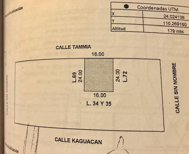 Tammia - Photo 1