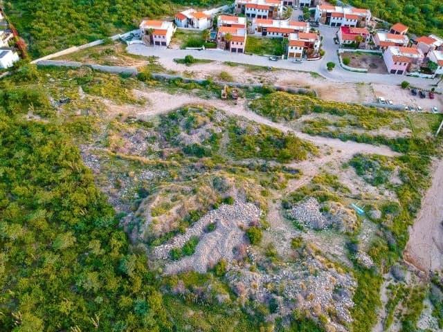 37 Calle Pitahayas Ciruelos - Photo 1