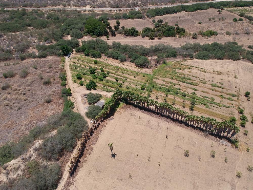 105-B East Cape - Photo 1