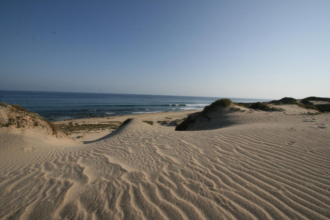 East Cape Road - Photo 1