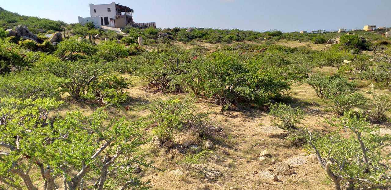 Lote 3 Manzana L - Photo 1