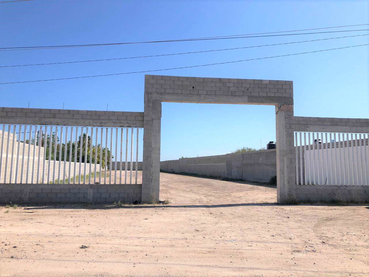 Chametla - Photo 1
