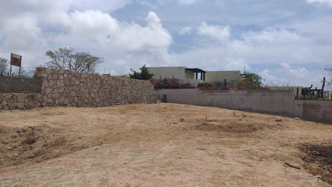 Calle Pitahayas - Photo 1