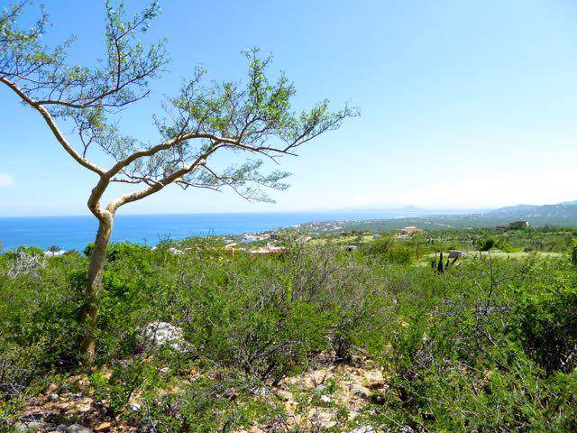 Las Brisas - Photo 1