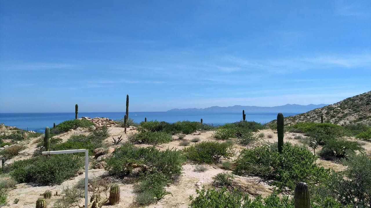 Mexia Piedra Mexia - Photo 1