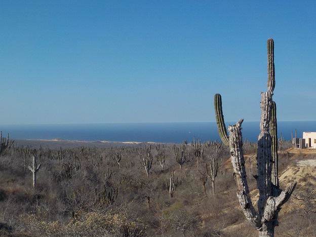 11 Sin Nombre - Photo 1