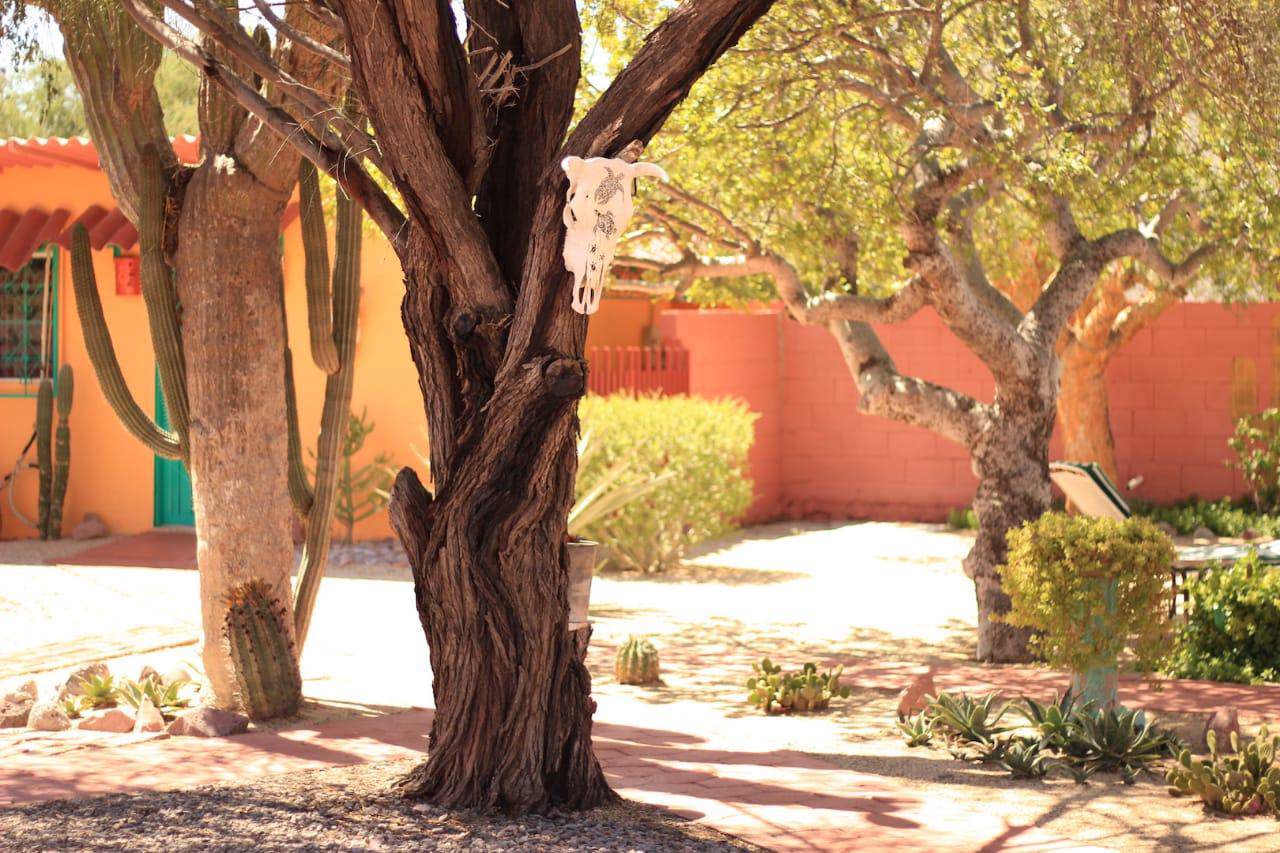 Calle 4 - Photo 1