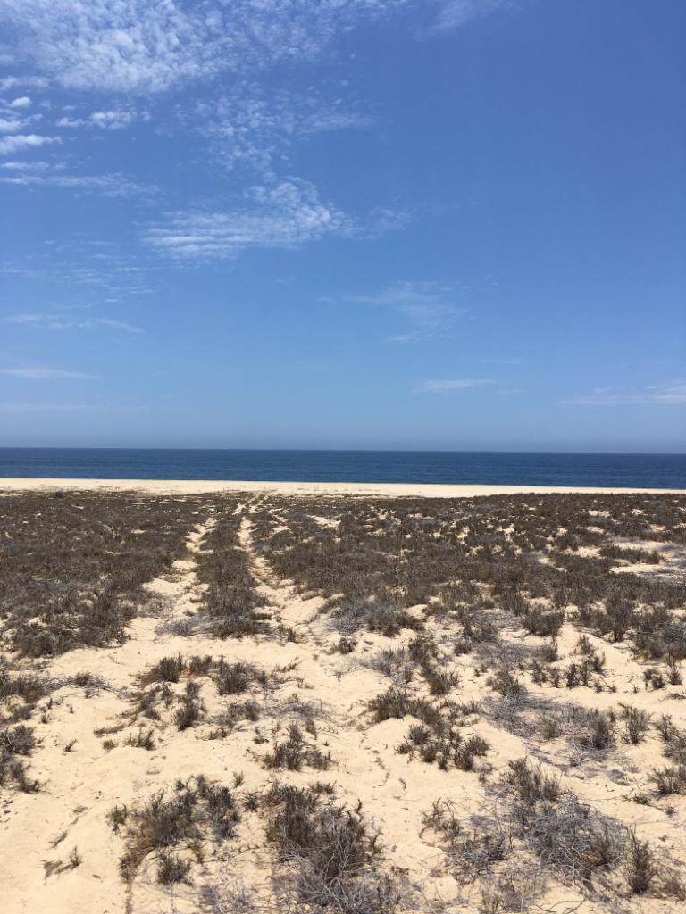 Lot #40 Playitas Road - Photo 1
