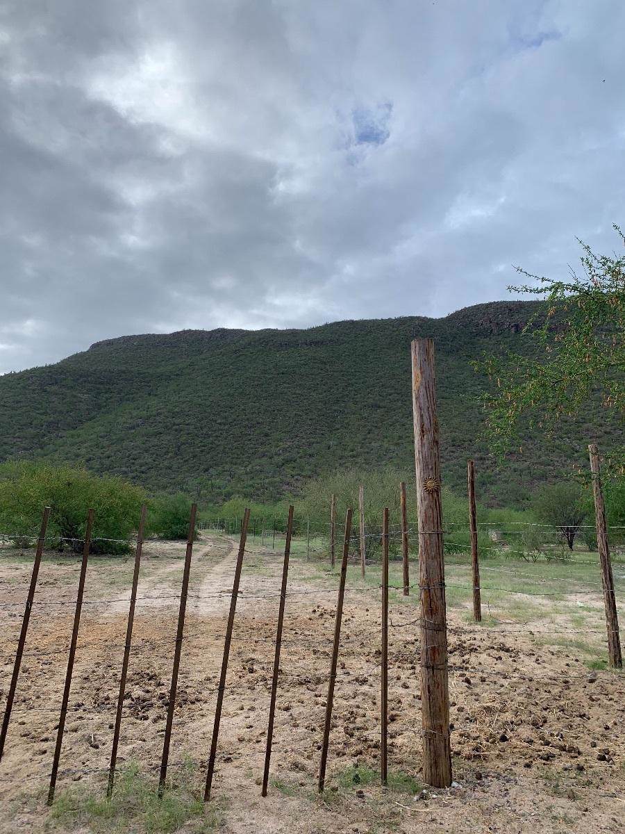 Campestre - Photo 1