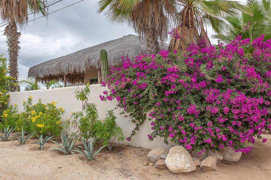 Casa Buenaventura - Photo 1