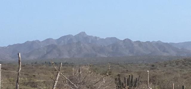 Ave Sierra Vista - Photo 1