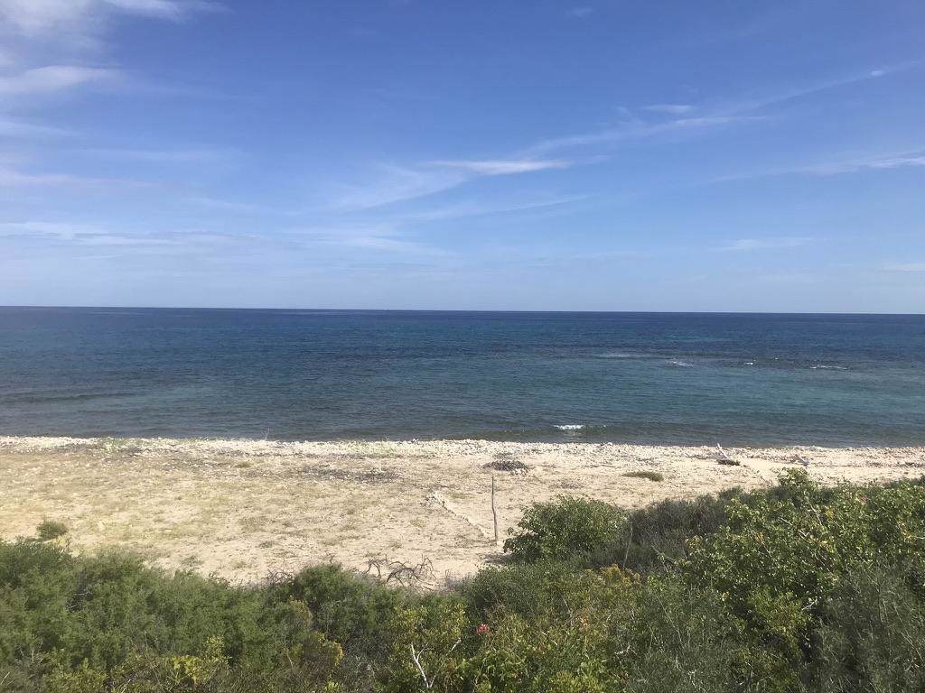 Beachfront Lot El Cardonal - Photo 1