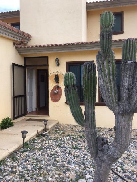 La Cholla - Photo 1