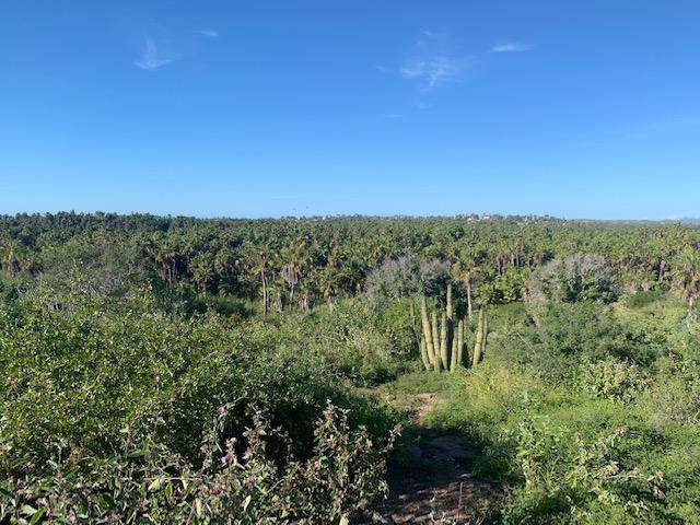 Camino La Poza - Photo 1