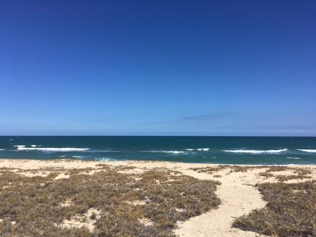 Ave Playa Feliz - Photo 1