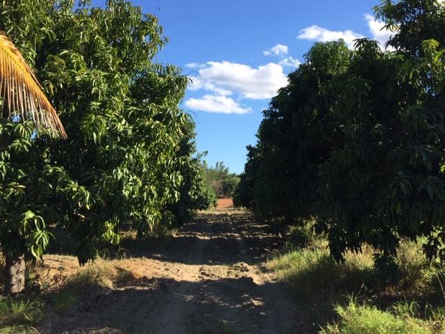 Ejido Las Casitas - Photo 1