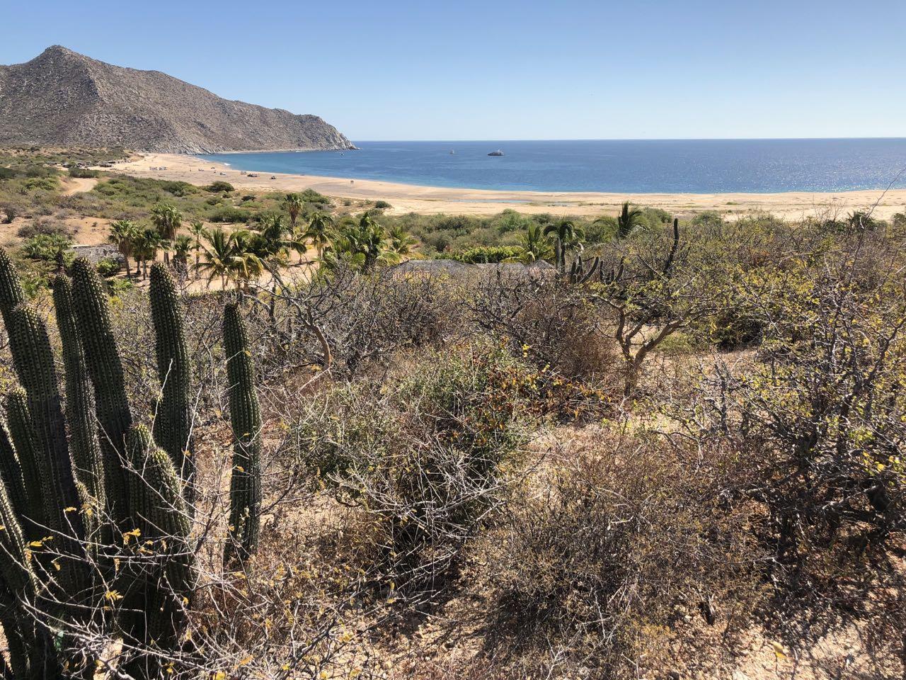 Los Frailes, La Huerta, I-9&10 - Photo 1