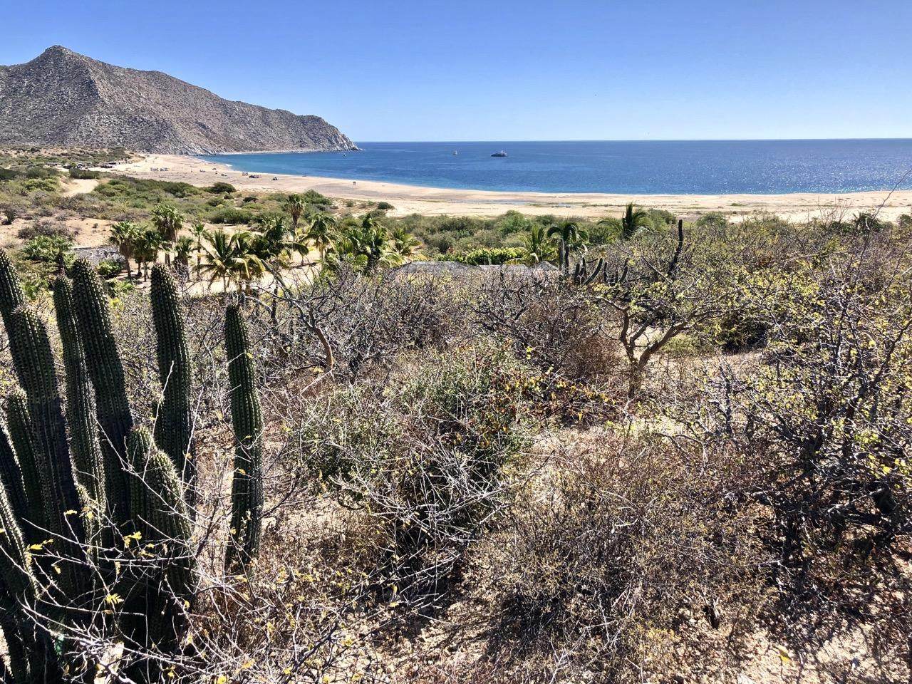 Los Frailes, La Huerta, I-7/8 - Photo 1