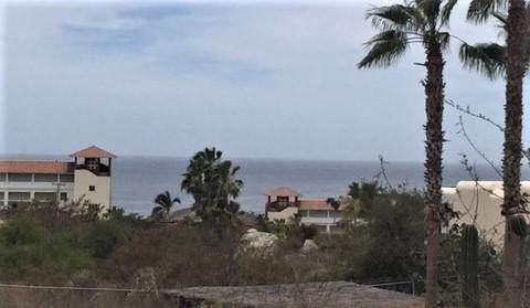 Paseo De Los Cabos - Photo 1