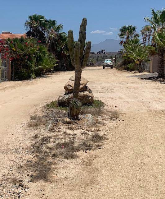 Lot 306 - Photo 1
