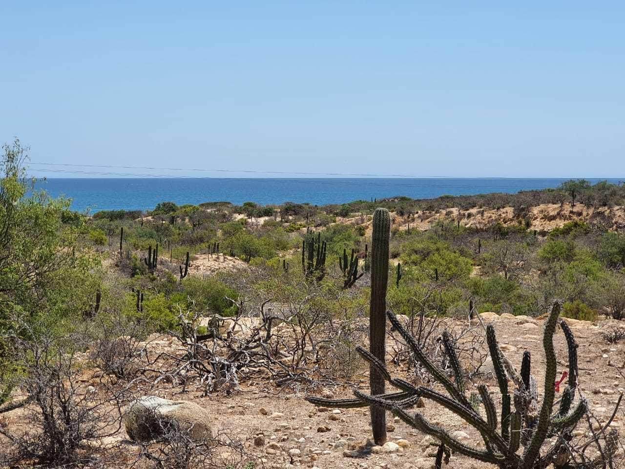 El Cardonal Coast Road - Photo 1