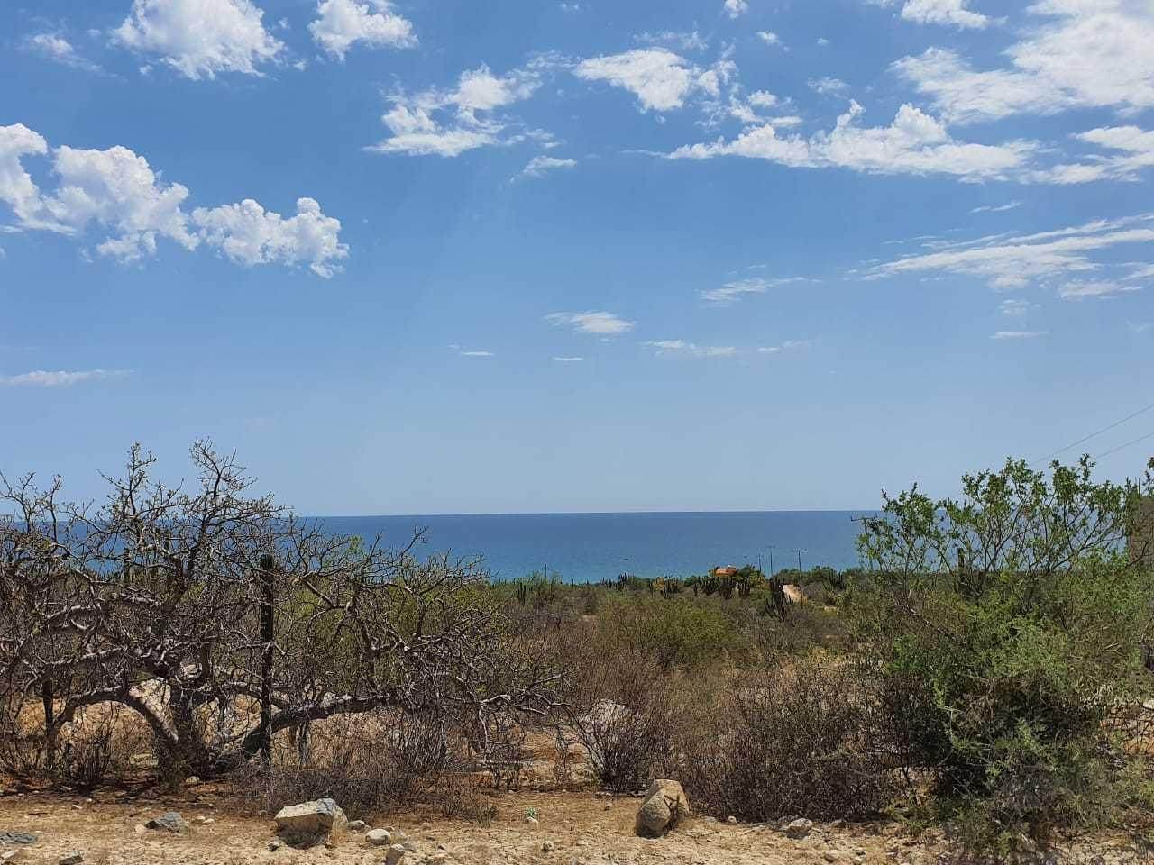 El Cardonal Coast Road - Photo 1