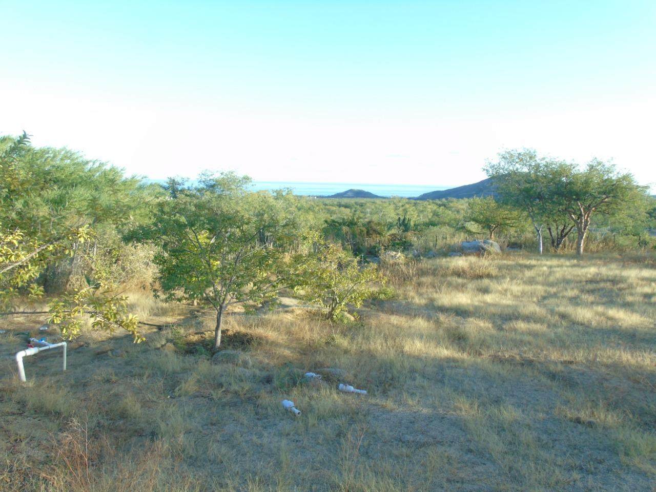 Lote ''Don Francisco'' - Photo 1