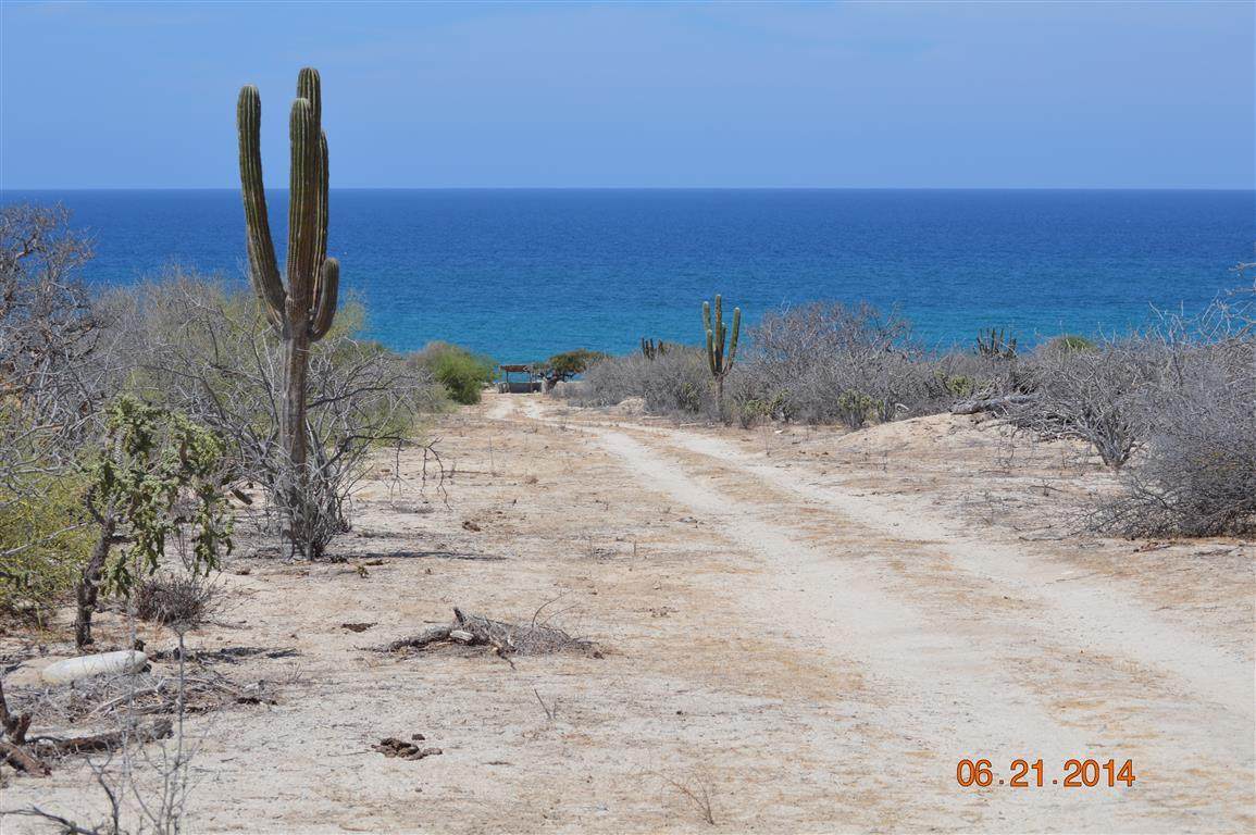 Camino Vecinal Al Cardonal - Photo 1
