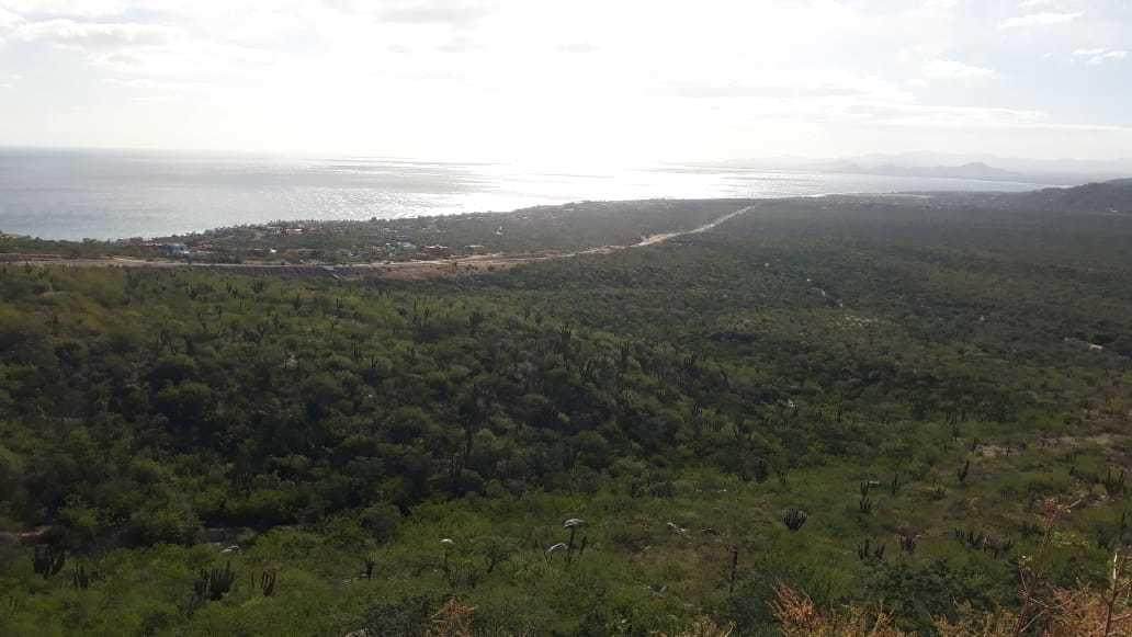 Los Barriles - Photo 1