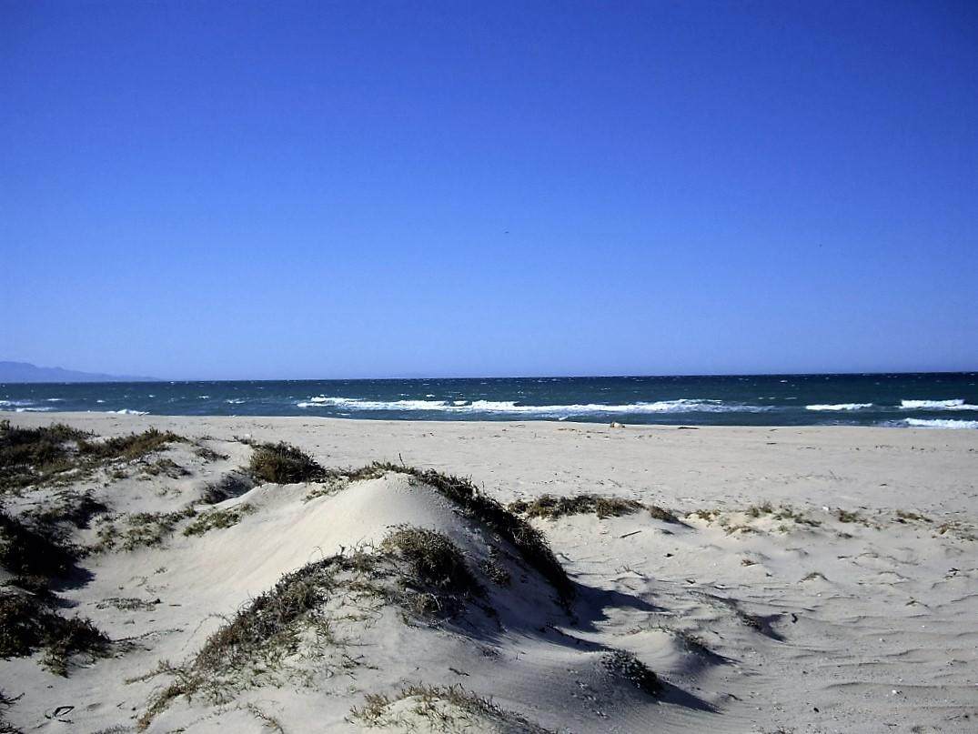 Tortuga - Photo 1