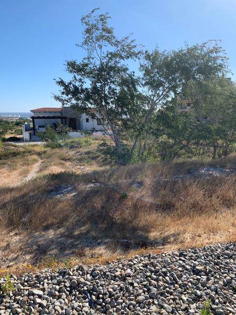 112 Valle De Los Reyes - Photo 1