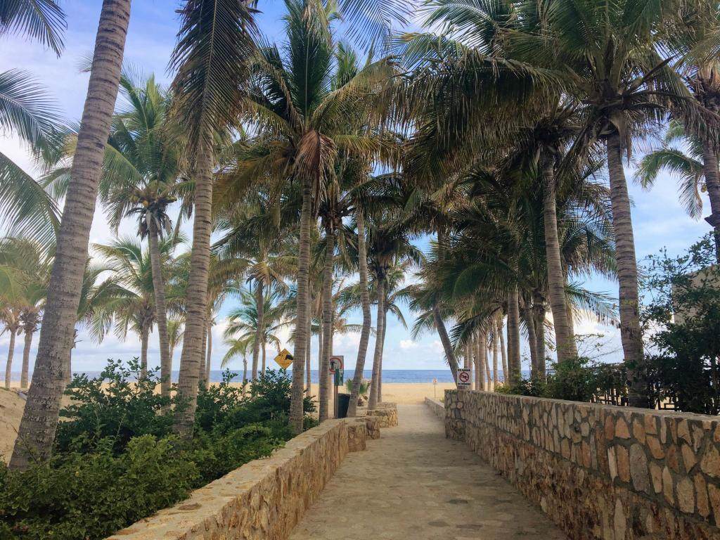L 5/24 Valley Of The Blue Moon Cabo San Lucas - Photo 1