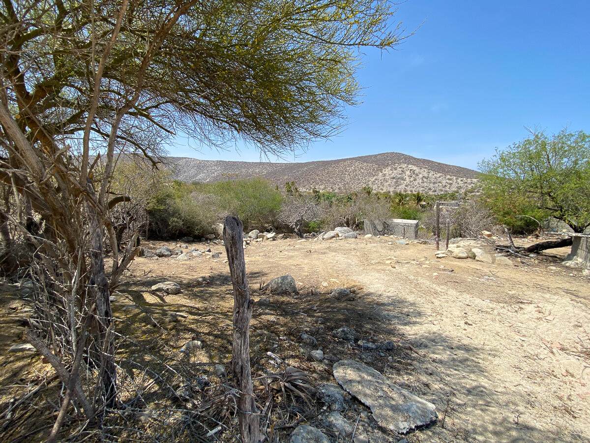 Buena Vista Affordable Lot - Photo 1