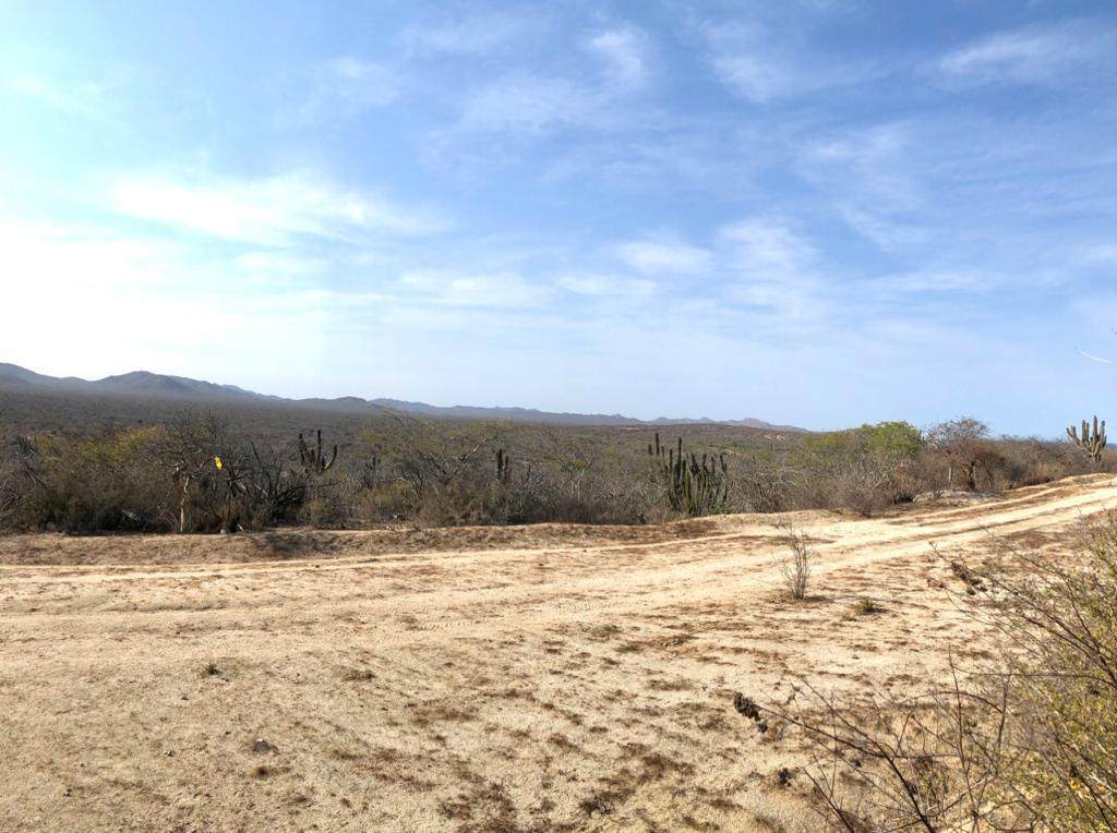 Camino Cabo Del Este - Photo 1