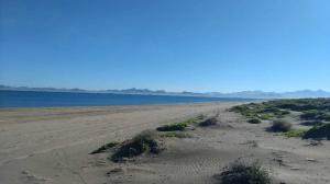 El Mogote, Lot 49 - Photo 1