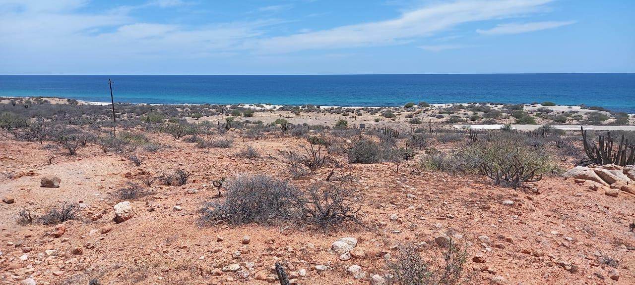 Costera Los Barriles-Cardonal - Photo 1