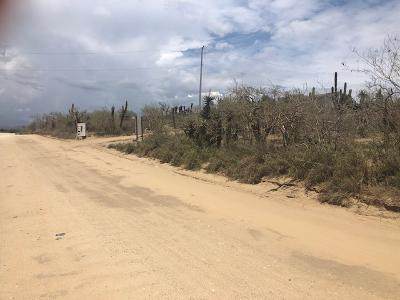 Cerritos Main Access Road - Photo 1