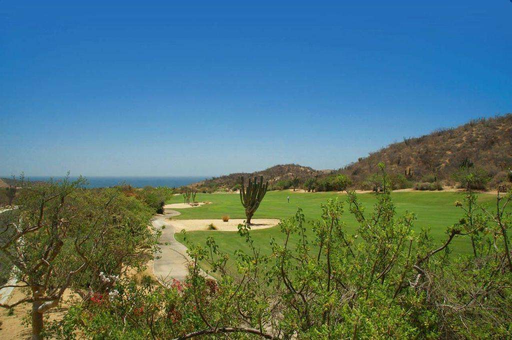 Oasis Palmilla - Photo 1