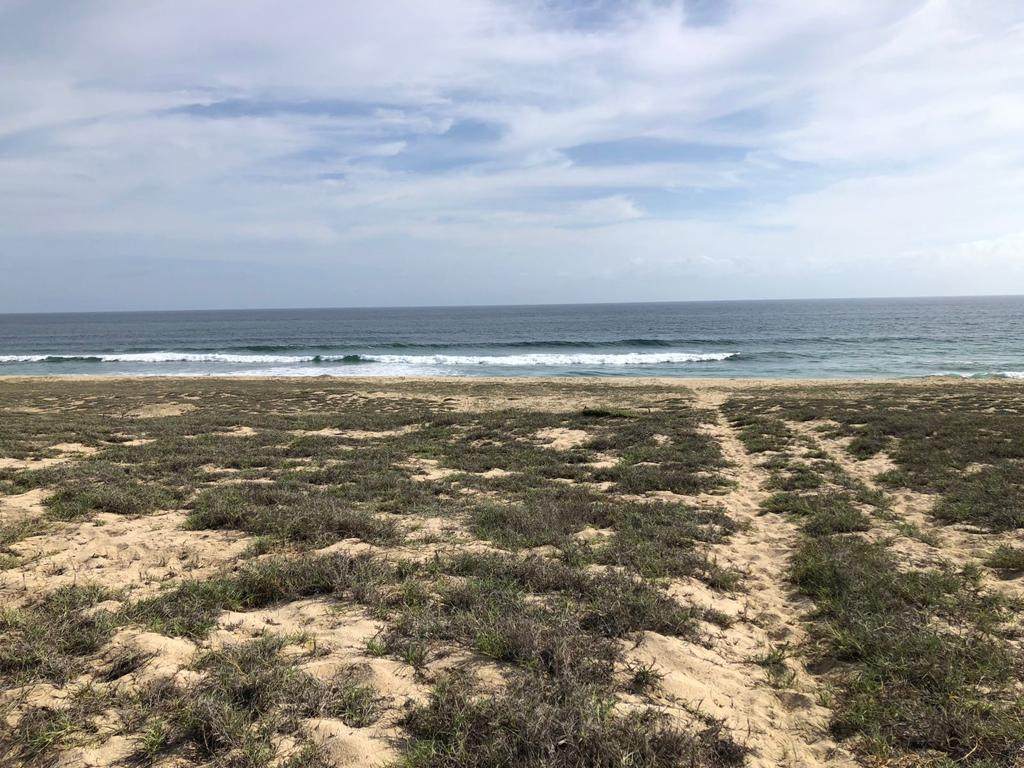 LOT 0054 Na - Photo 1